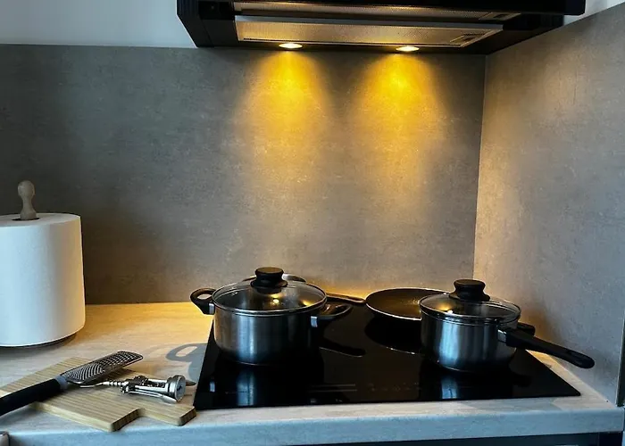 Velvet-nest Near Iulius Mall * Kluž